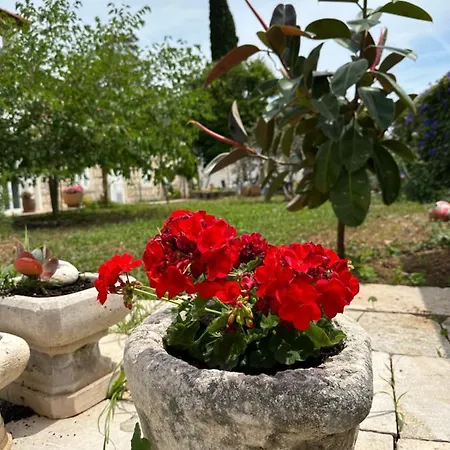 Lomara Dubrovnik