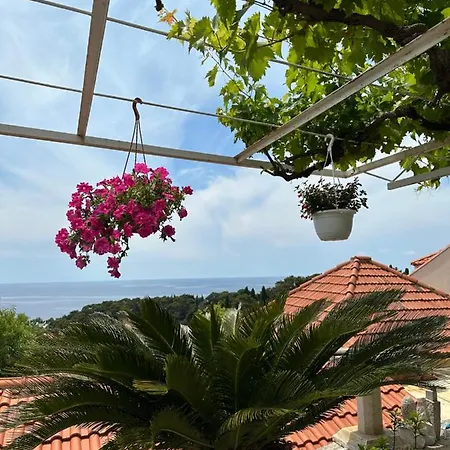 بيت ضيافة Lomara