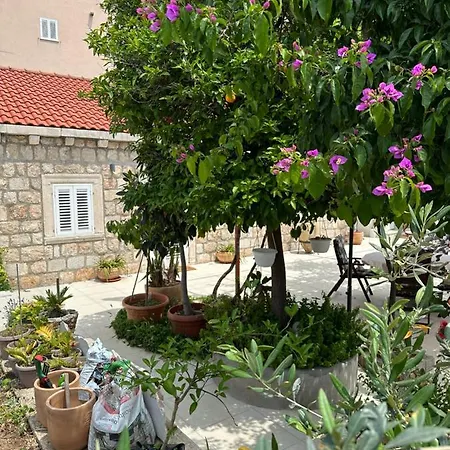 Lomara Dubrovnik