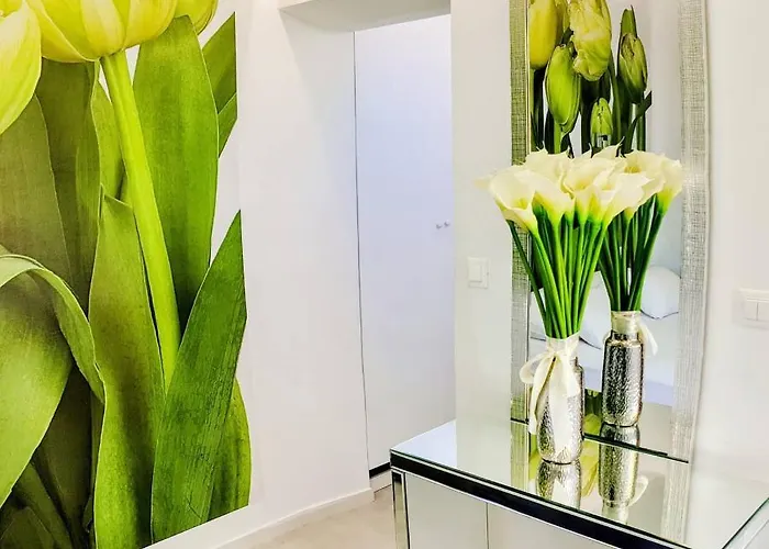 罗马拉公寓 招待所 3*