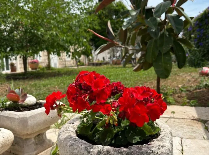 Lomara Dubrovnik