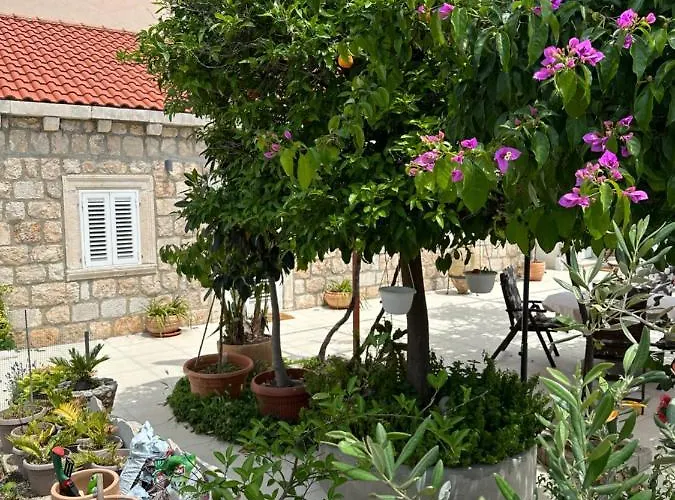 Lomara Dubrovnik